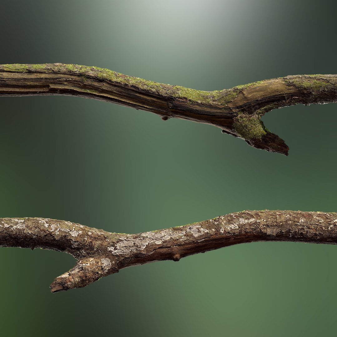quixeltools's tweet photo. The beauty of Scan-dinavia. π
https://t.co/5CODbT4JRl
More inbound, with many others being added every day.
#quixel #megascans #forest #sweden #scandinavia #birch #aspen #alder #fir #deadpine #3dassets #3dsurfaces #realworld #scandata #photogrammetry #pbr #gamedev #cg #vfx https://t.co/MumZWsdOQl
