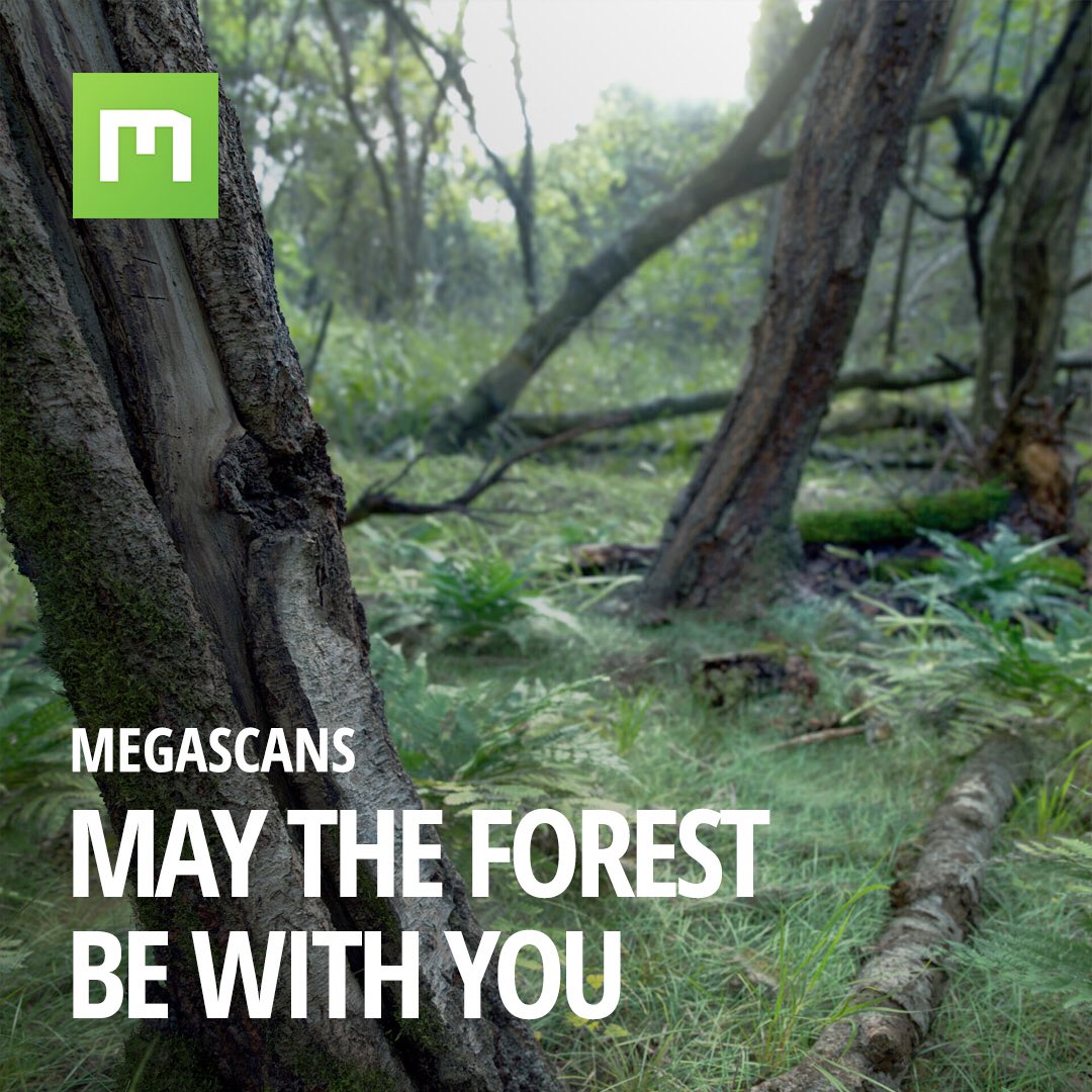 quixeltools's tweet photo. The beauty of Scan-dinavia. π
https://t.co/5CODbT4JRl
More inbound, with many others being added every day.
#quixel #megascans #forest #sweden #scandinavia #birch #aspen #alder #fir #deadpine #3dassets #3dsurfaces #realworld #scandata #photogrammetry #pbr #gamedev #cg #vfx https://t.co/MumZWsdOQl