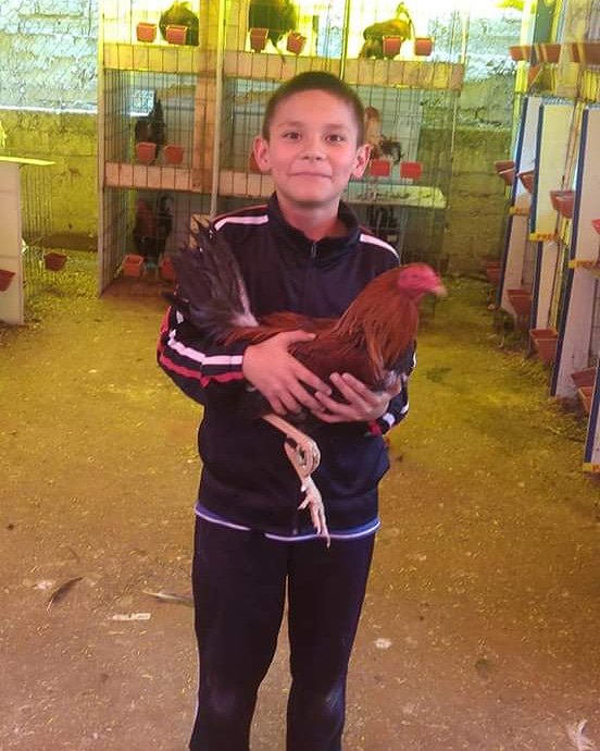3Sanchezzz's tweet photo. NUESTRO PEQUEÑO GALLERO 💪💪Mi Arturin MI Hermanito feliz cumpleaños 🎂 🎂 🎂 mi hermanito Arturin 👦hermoso que sea un día muy especial para ti 💎💖🍰🍪🍬🍭🍫🍨🍡🍦 TE QUIERO MUCHO HERMANITO ARTURIN 👦💖✌️
SÁNCHEZ POR SIEMPRE ✌️
#kingSanchez 👑
#3SANCHEZ https://t.co/7y3QWfeuuh