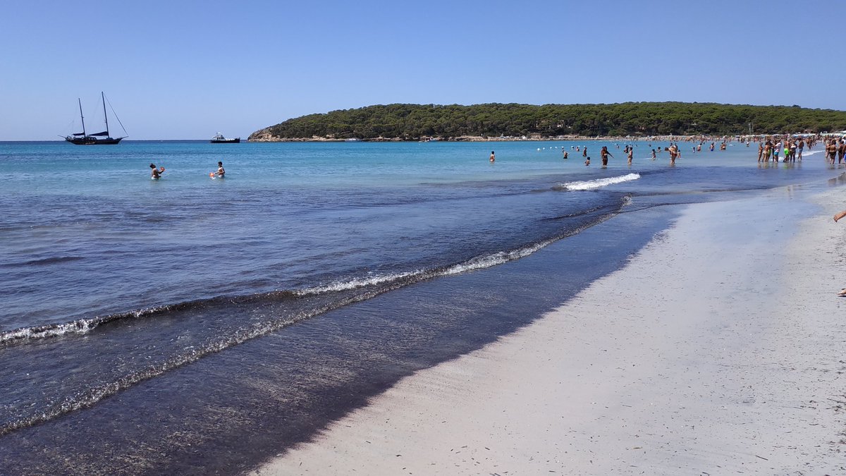 NikiConLaBarba's tweet photo. Ed a fine giornata ecco il bottino di mozziconi recuperati.
Grazie, 💩.

Da #portopino, #Sardegna è tutto. 💪🏻

#stopfumo nelle spiagge, vero
@santannaarresi? https://t.co/c9b2R5FEb2
