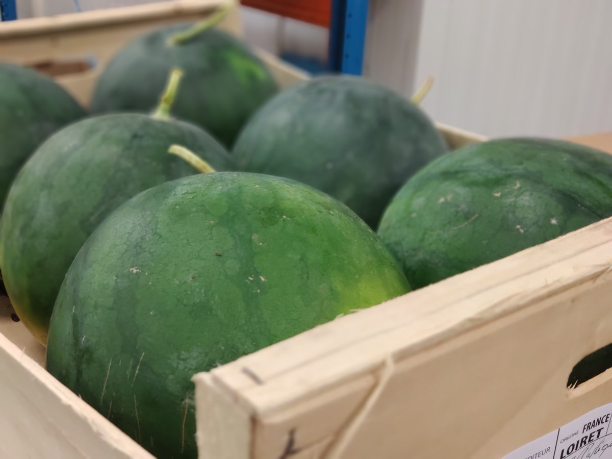 mag_fruits's tweet photo. Magnifique arrivage de pastèque #bio #locale cultivée tout près d'Orléans : délicieuse et sucrée, on recommande !
@Agencebio @Devup_ @pourinfo https://t.co/8GBDgEylk0