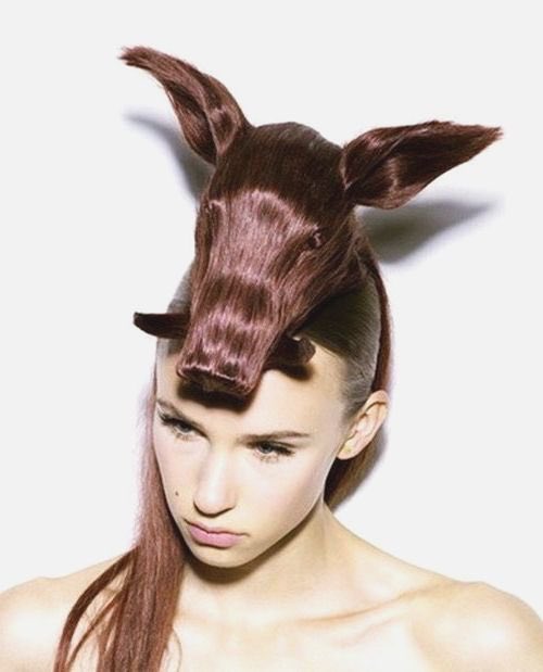 MHgglund's tweet photo. Apparently some of that shampoo made it to retail... 🐷 #onlyindenmark #hairrasing 🇩🇰🇦🇺 https://t.co/sLUGAzjPLU