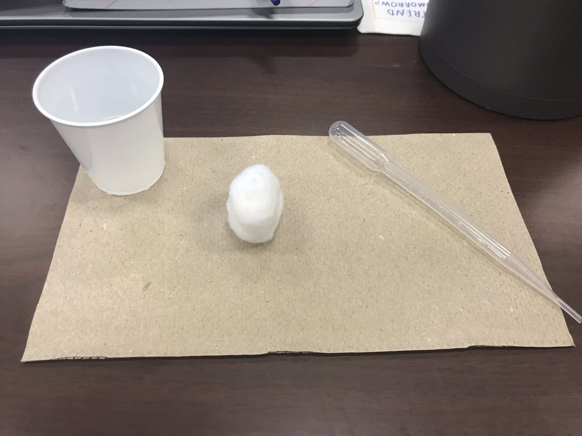 BoahnHaley's tweet photo. We got to be a kid! #Jbdb2 #clouds #ccsscience https://t.co/QkELEl7Qdo