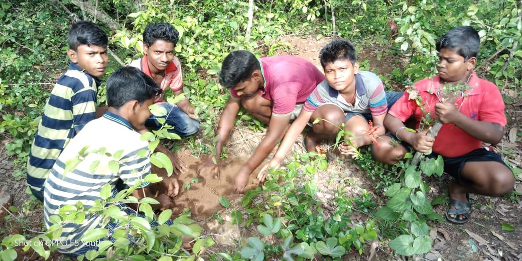 PoleiKumar's tweet photo. ପ୍ରଳୟଙ୍କରୀ ବାତ୍ୟା ଫୋନି ରେ ଆମ ଗ୍ରାମ ବୋଇତକୁଦ ଜଙ୍ଗଲ ର ବିଧ୍ୱଂସ ହୋଇଥିବା ସବୁଜିମା ବଳୟର ପୁନରୁଦ୍ଧାର ଏବଂ ନୂତନ ସବୁଜିମା ସୃଷ୍ଟି ପାଇଁ ଏକ ଛୋଟ ପ୍ରୟାସ l @Puri_Official @balwantskalewa7 @CMO_Odisha @btushar02 @SoumyaR38573972 @BdoKakatpur @SahiBhai @TKakatpur https://t.co/iGWbTQUdmo
