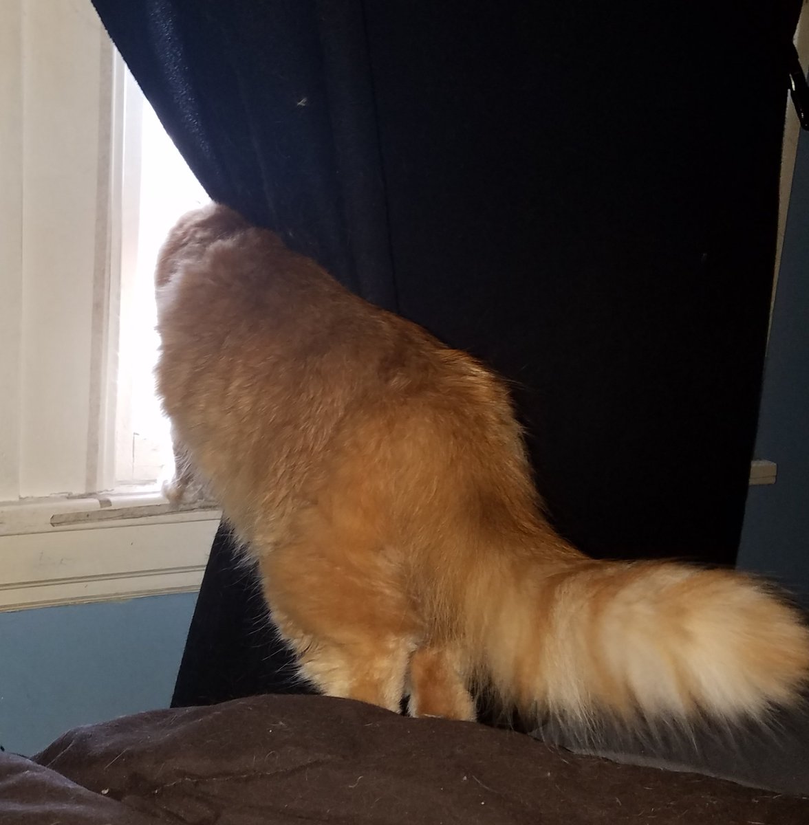 PMurdercat's tweet photo. Dager is out there being useless. If I was allowed outside I would kill ALL THE THINGS. She needs to get her shit together. #dailyprayers https://t.co/2dlv4En3jK