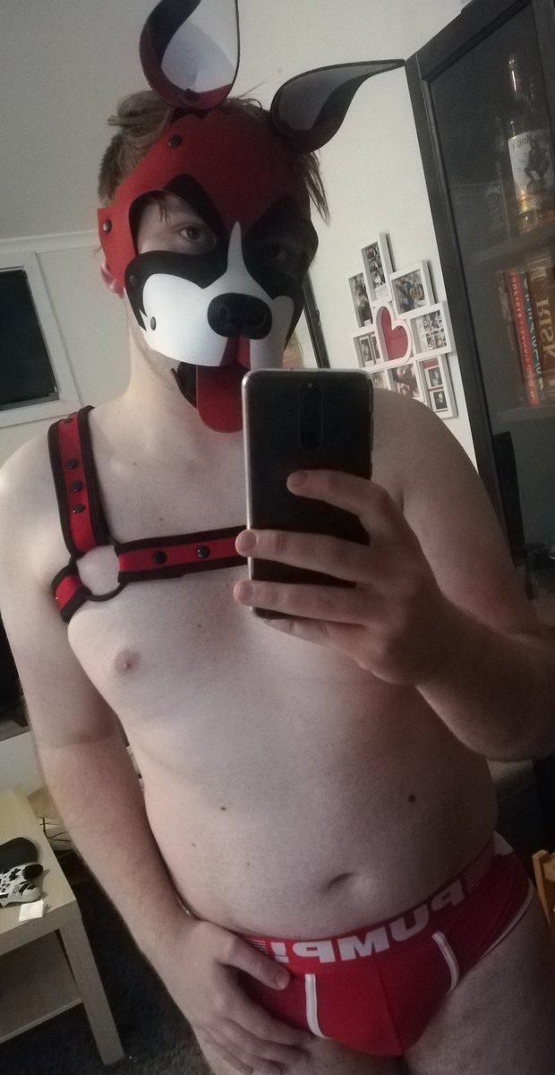 So now that I got this fantastic <a href="/wruffstuff/">Wruff Stuff 🐾</a> hood in the mail I figured I'd jump on the bandwagon and start a pup twitter.