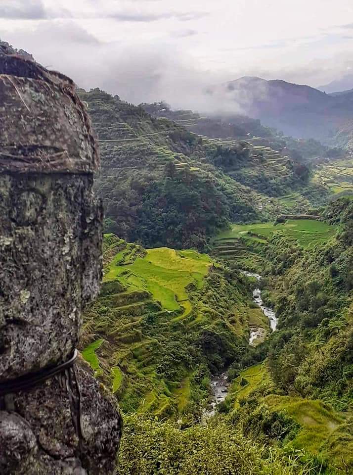 badjaodiaries's tweet photo. Sharing the wonders of Pinas!

~The Banaue Rice Terraces~

#badjaodiaries #visitph #visitnorthph #tripbefeatured https://t.co/YRvdpMuxkR