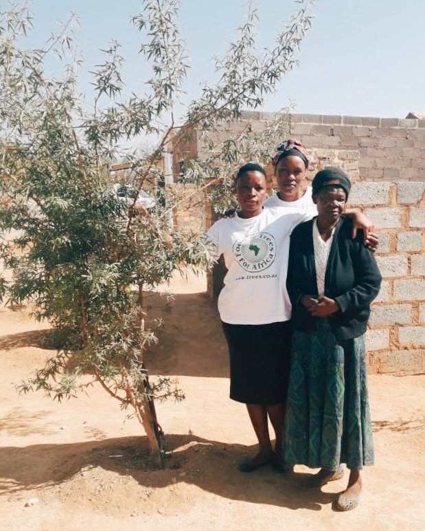 ftfa's tweet photo. We spent the day in Tembisa, Gauteng today running the final evaluations of trees distributed through our #TreesForHomes programme a year ago. We're delighted to report back that they are thriving and in good shape.
#TreesInSharedSpaces #SustainableCities #SDGs https://t.co/ROp8vb90of