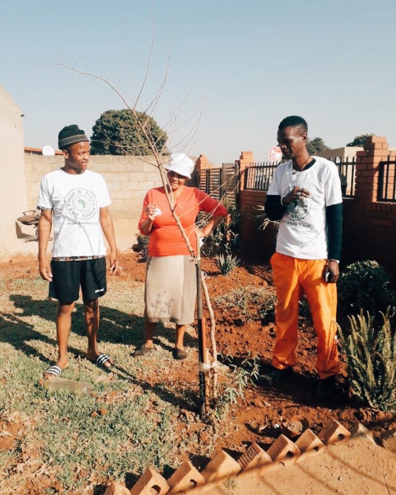 ftfa's tweet photo. We spent the day in Tembisa, Gauteng today running the final evaluations of trees distributed through our #TreesForHomes programme a year ago. We're delighted to report back that they are thriving and in good shape.
#TreesInSharedSpaces #SustainableCities #SDGs https://t.co/ROp8vb90of