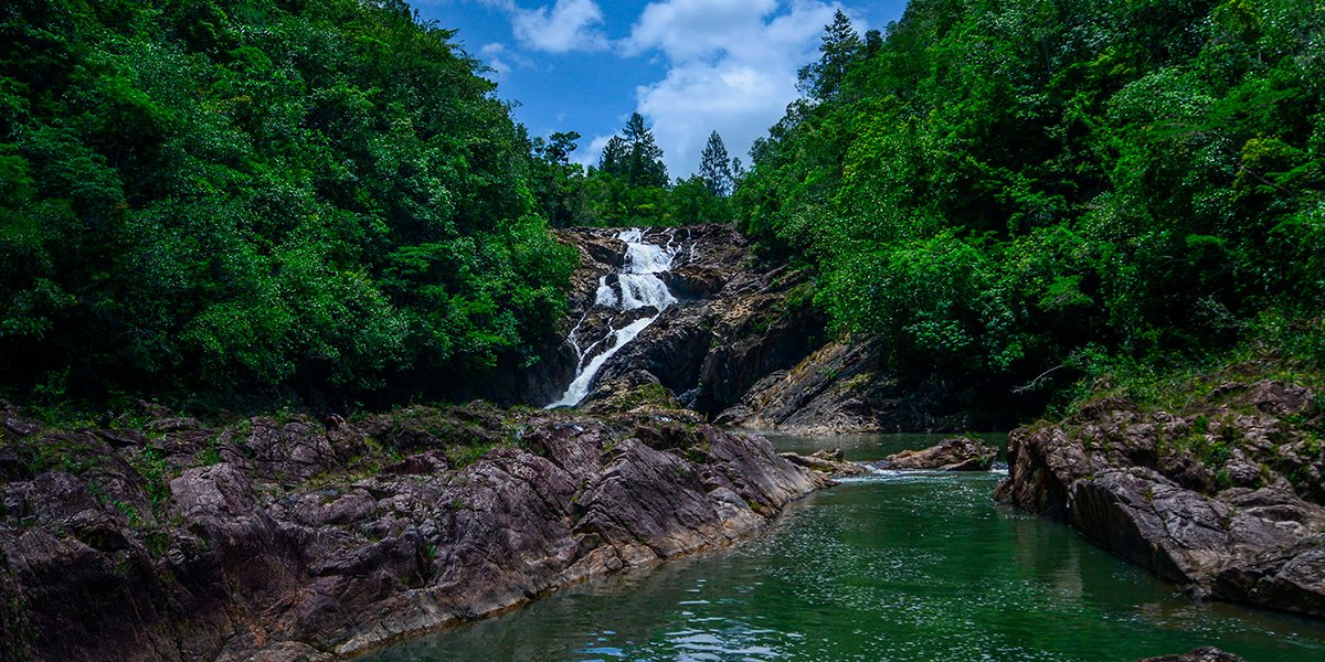 AdventuresBz's tweet photo. The Mountain Pine Ridge in Belize, why would you not wantto visi this gem and relax for a bit? See why you should visit here: https://t.co/2QYzvaR5ee

#Belize #AdventuresinBelize #AdventureVacations #BelizeTravel #BelizeAllInclusive #BelizeResorts https://t.co/AHsZVq5Vni
