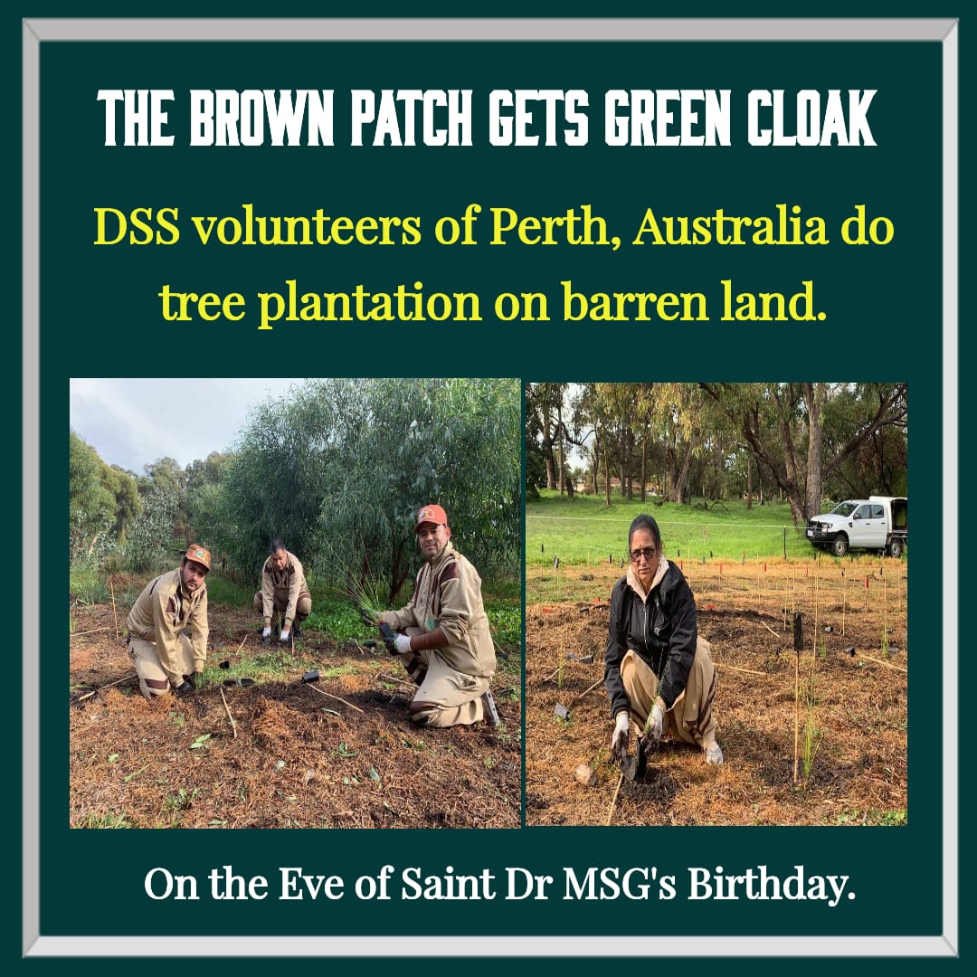 rjogabri's tweet photo. #TreePlantationWorldwide
mega tree plantation from volunteers https://t.co/BZ6hhNOBQi
