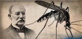 CubacooperaEcBA's tweet photo. #14deAgosto #CubaEsSalud @embacuba_ecuad @CubacooperaEc @CubacooperaCu Año 1881 Cuba. #DrCarlosJFinlay descubre el agente transmisor de la fiebre amarilla y aunque se trato de usurpar su logro, fue reconocido mundialmente por sus aporte a la ciencias medicas.BMC Baños https://t.co/IHJmaqVhfo