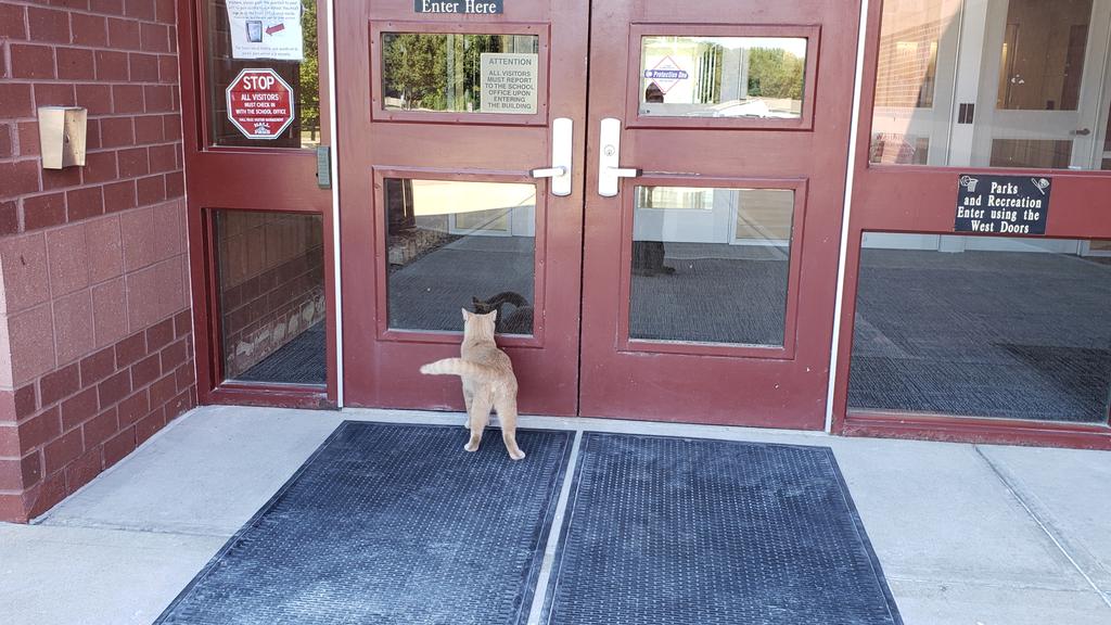 tjkatzer's tweet photo. Looks like someone is missing their owner on the first day of school! #lpsleads #lpsfirstday #lssharks https://t.co/tsBR4eqiR8