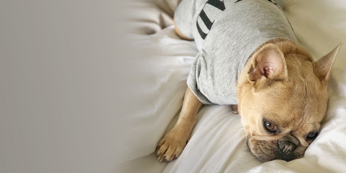 kendriawrites's tweet photo. How many hours of sleep are you getting each night? Chances are you’re not getting enough. According to the CDC, 35% of adults don’t get enough sleep. Here are five habits you can adopt today for a better night's sleep: #WellnessWednesday https://t.co/PvjFXkyewr https://t.co/S3zWaOfVj2