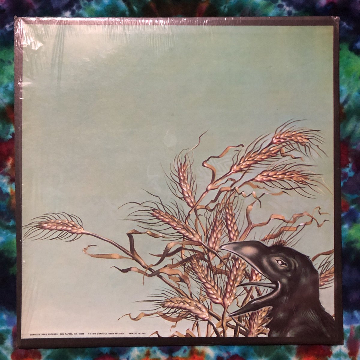 TheLeesOfMemory's tweet photo. Jamming this super-clean original promo copy of @GratefulDead #WakeOfTheFlood in headphones this morning. 🎧 #ComplimentsOf Pressing sounds KILLER.⚡️Crucial find at @Phonoluxe 🙏🏼 https://t.co/kPDGEG1myT