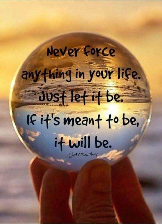ivyjofreeman's tweet photo. @Si_mlle @zimney_leanna @Cdubey_Texas @TeahCartel @pookiee0758 @aka_pierrecouvy @Greg_MarineLab @Sunshinetgo @PrinPeta @kodiak149 @Creampuffgal @LuvMacyIsabella @ReaperKat @D_resists @HumanityLove321 @KLGLASS2 @2_Unkn0wn4u @SharonLynnCald2 @kristiswift @CatTassinari @4a_of Thank you so much for the tag!! I really appreciate it!! Hope everyone is having a nice day!! #LiveOneDayAtATime 🖤🖤 https://t.co/H1Hy1hdnRt