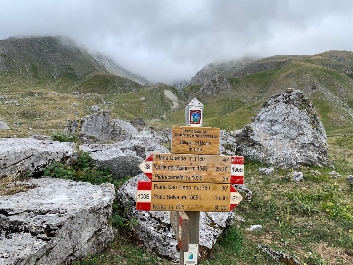 marcella cipriani tweet media