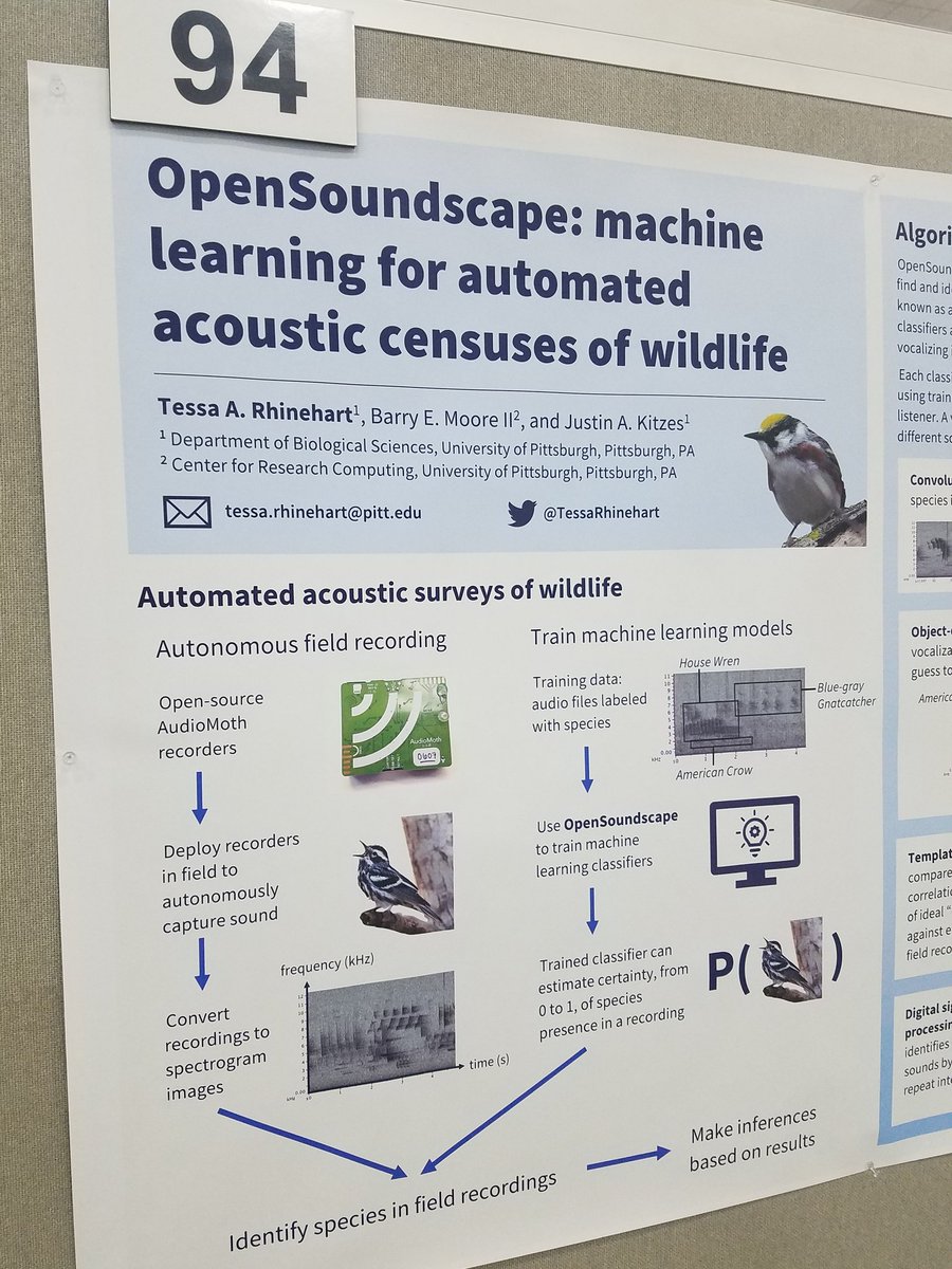 Hey #ESA2019 , come talk with me about using #machinelearning for automated wildlife surveys at tonight's poster session! #bigdata #aiforearth #bioacoustics