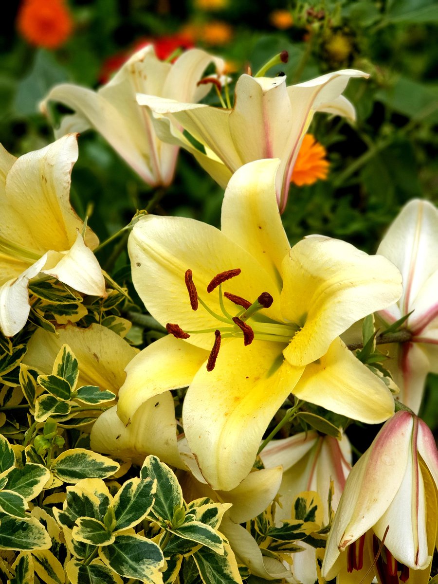 Public safety is paramount, a step in the punitive direction #LawandOrder

#MyPhotography 
gov.uk/government/new…