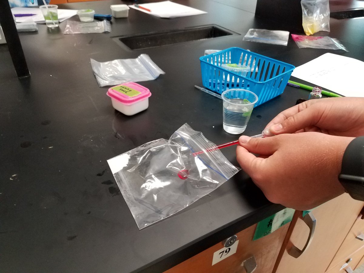mrs_p2's tweet photo. Love #KCSScience lab days! @GibbsEagles making observations and experimenting 👨🔬👩🔬 https://t.co/89smlehF7C