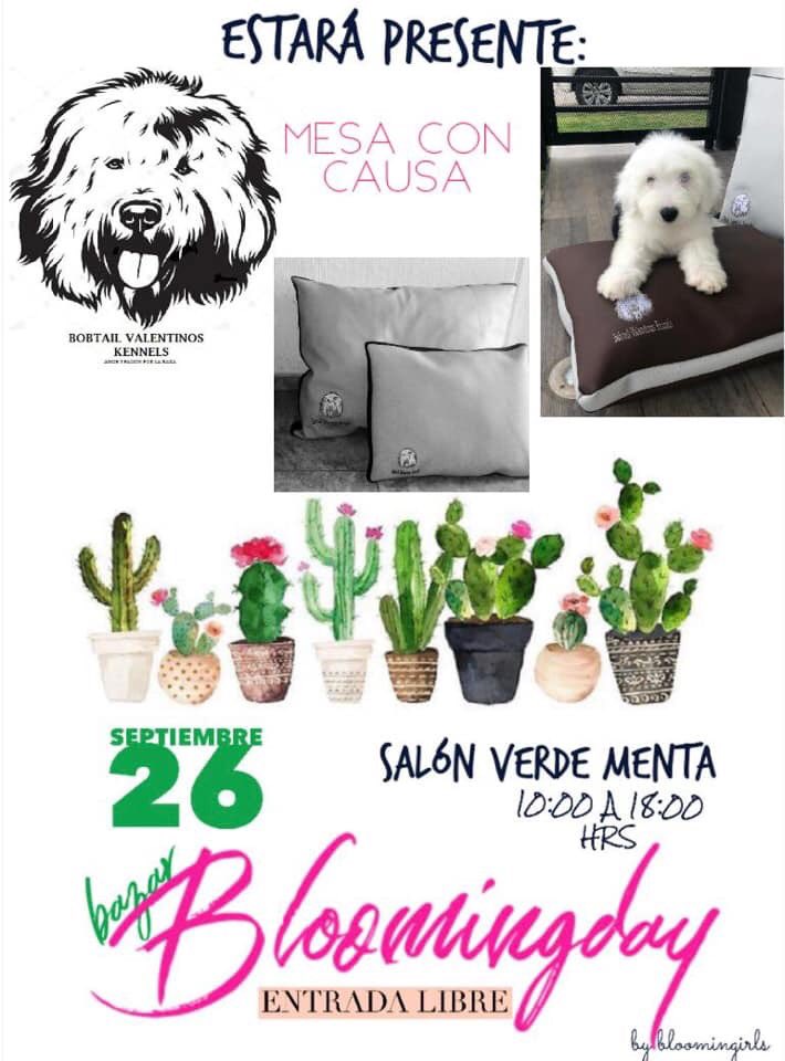 BloomnGirls's tweet photo. •B A Z A R• #Bloomingday! #VALENTINOS
#BazarMásLindoDeLaCiudad 
Ven y apoya el consumo local con tantos artículos que te van a  encantar!💄🧥🧤🧣🧦🥿🎒👛🕶🍱🌮🎡🍯💧

🍡VERDE MENTA SALÓN🍡 26 de SEPTIEMBRE | 10:00 - 18:00 hrs |Plaza del Parque Metepec | ENTRADA LIBRE https://t.co/J9Sfw8Uoiv