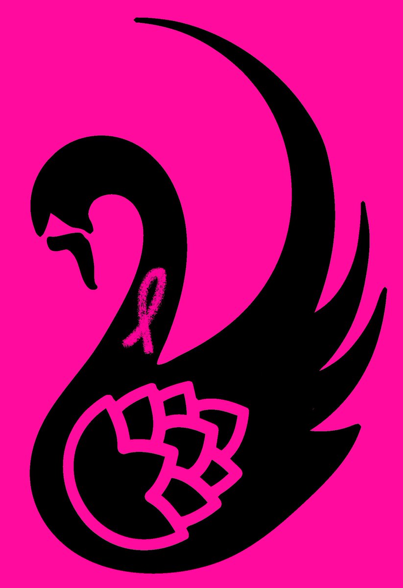 BlackSwansDC's tweet photo. On Wednesday’s we wear Pink! #PinkForToni #whatareyouwearing #biggerthansoccer @ORLPride @Toni_Deion https://t.co/OqDvNeMBef