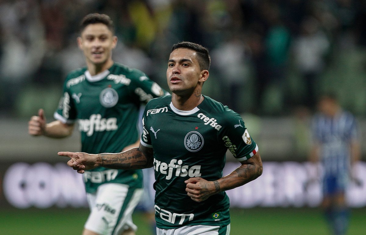 Tigre x Palmeiras: horário, local, escalações e transmissão