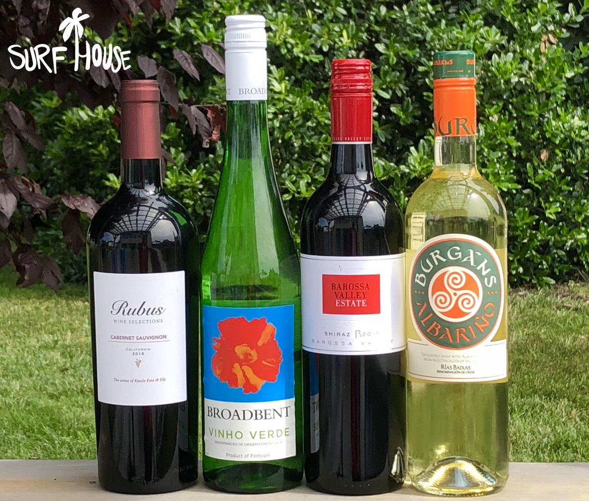 SurfHouseMD's tweet photo. All glasses &amp; bottles are 50% OFF for #WineWednesday ~ come enjoy a chilled white or smooth red on our patio to celebrate Hump Day! 😍🐫💙 #HumpDayHappiness #humpdayvibes https://t.co/CQPj4gXJmq