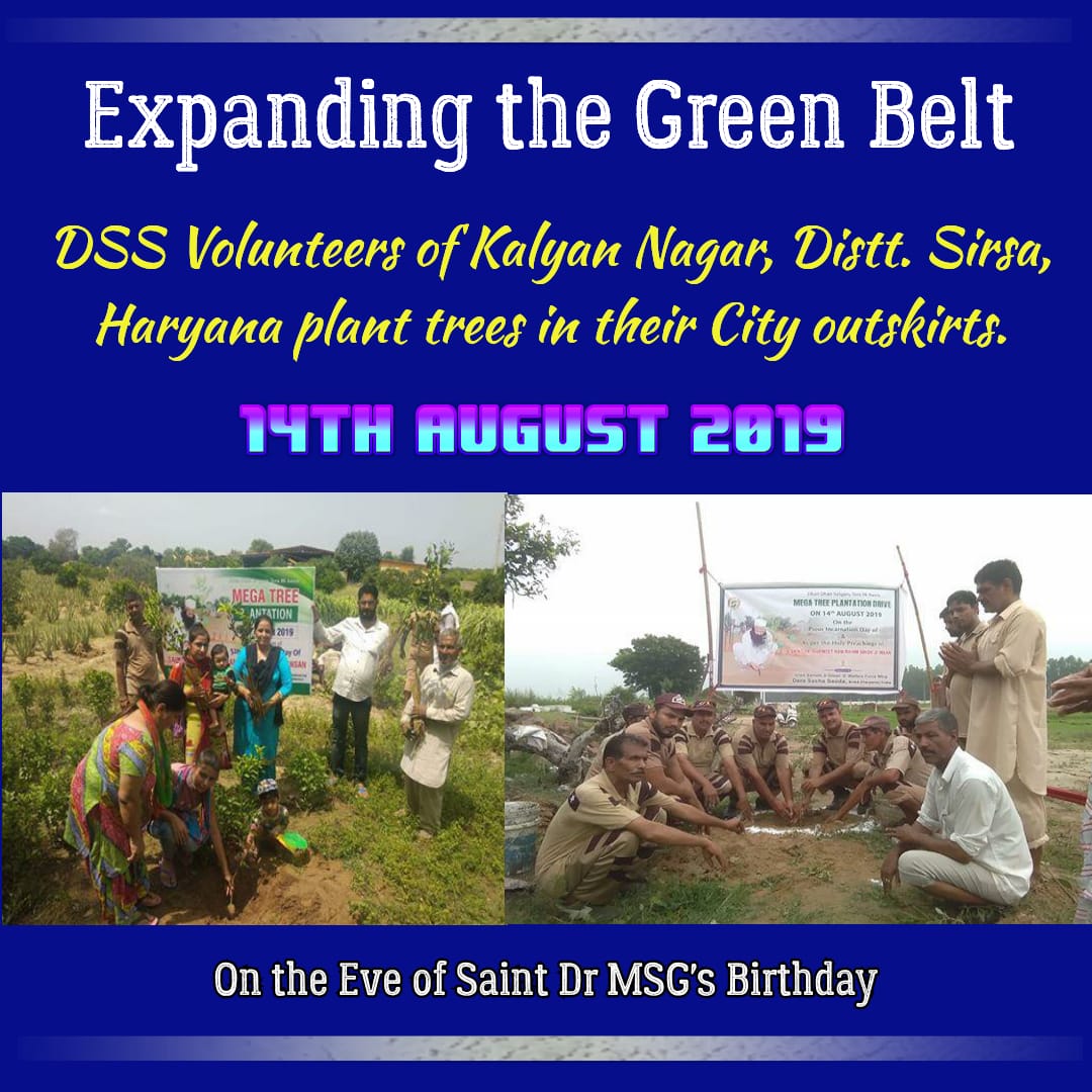 HarjinderKatar2's tweet photo. https://t.co/Yfr2bLLUV2
#TreePlantationWorldwide 
Today Worldwide tree plantation drives has been carried out to celebrate the pious occasion,  birthday of St. @Gurmeetramrahim Singh Ji Insan. https://t.co/7C6n4I8dBE