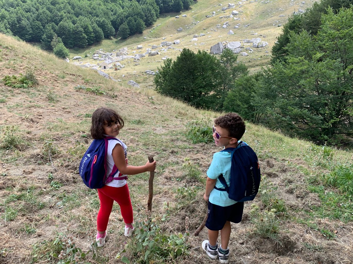 marcella cipriani tweet media