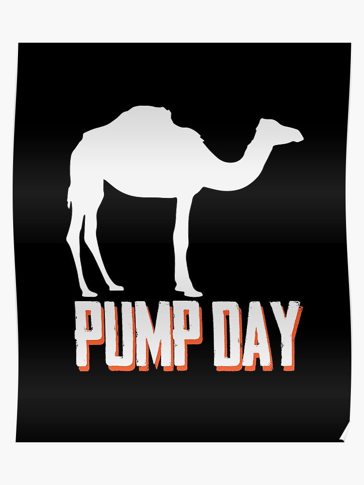 AnytimeGrandAve's tweet photo. Hump Day 🐪 Pump Day 💪!!!
Get to the gym and hit this one hard 🤜🤛
#humpday #pumpday #fullbodyworkout https://t.co/tCGlw7f4T5