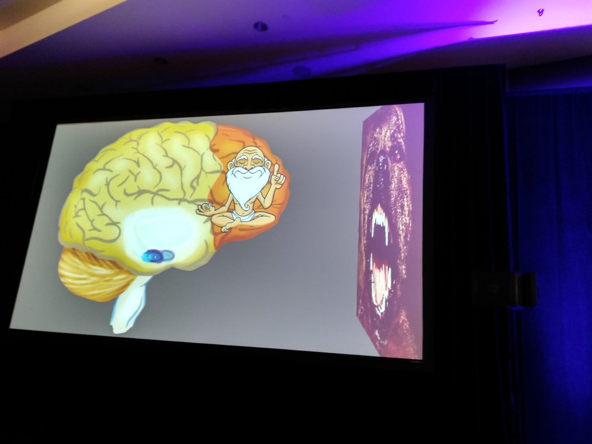 ClaudiaParvanta's tweet photo. @nchcmm 2019 Vic describes bounce off resilience brain activity https://t.co/N7ROEjKw1h