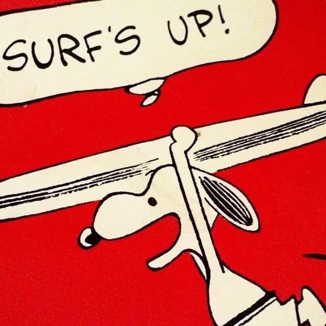 SUP_4_Life's tweet photo. @ErinTVnews Linus and Snoopy. Linus doesn’t surf though🤣 https://t.co/PVZwdtxrmX