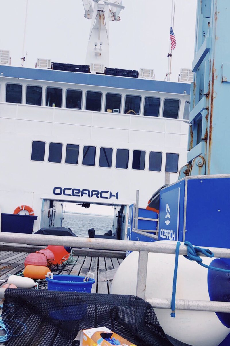 zencos's tweet photo. Can’t thank the @OCEARCH team enough for showing us around their boat! Absolutely incredible 🦈 #ExpeditionNantucket https://t.co/hj8hppFZNd