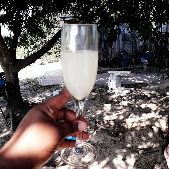 Ma culture, mon pays instant nectar
