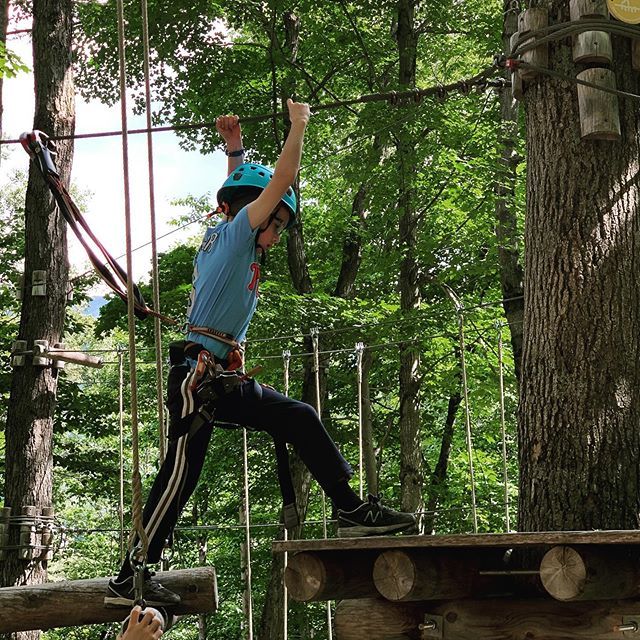 bmccal's tweet photo. Tree adventures 👍 https://t.co/tMn2vQyuyX https://t.co/iqeXG7vq9r