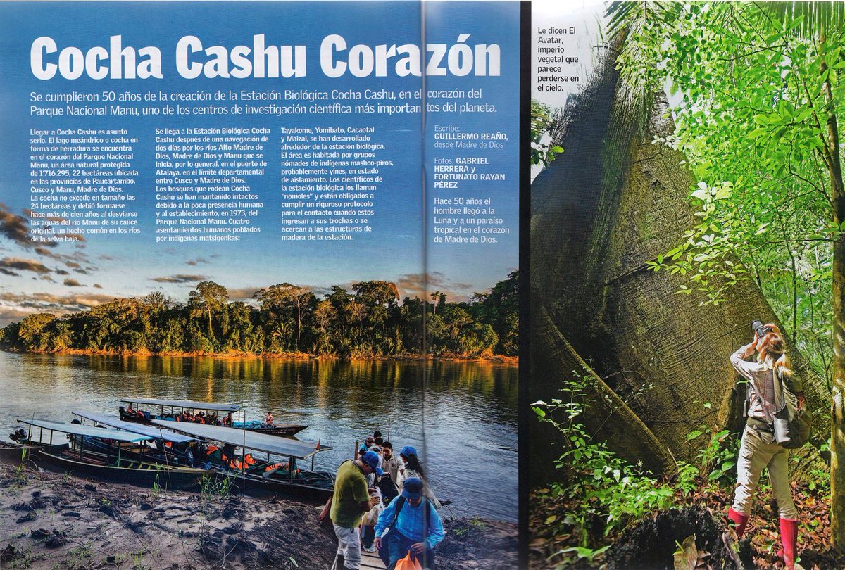 CochaCashu's tweet photo. Mejor tarde que nunca! Fotos de un artículo que salió en la revista Caretas de julio, por Guillermo Reaño, con fotos de un gran amigo de Cashu, Gabriel Herrera, y nuestro Administrador Adjunto, Fortunato Rayan. Estamos muy contentos de ver a Cocha Cashu en los medios peruanos! https://t.co/fv8iHVqoo1