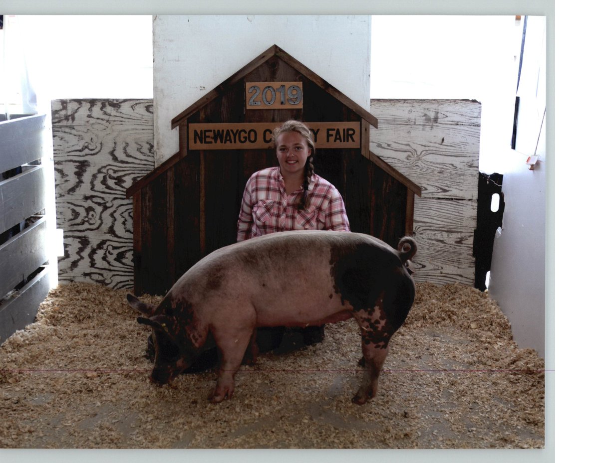 GerberFdnWmi's tweet photo. Each year we head to the Newaygo County Fair to purchase animals to process and donate the meat to local food pantries to help families in need.  Great work to the kids who raised and showed their animals! https://t.co/p90jBjvv9z