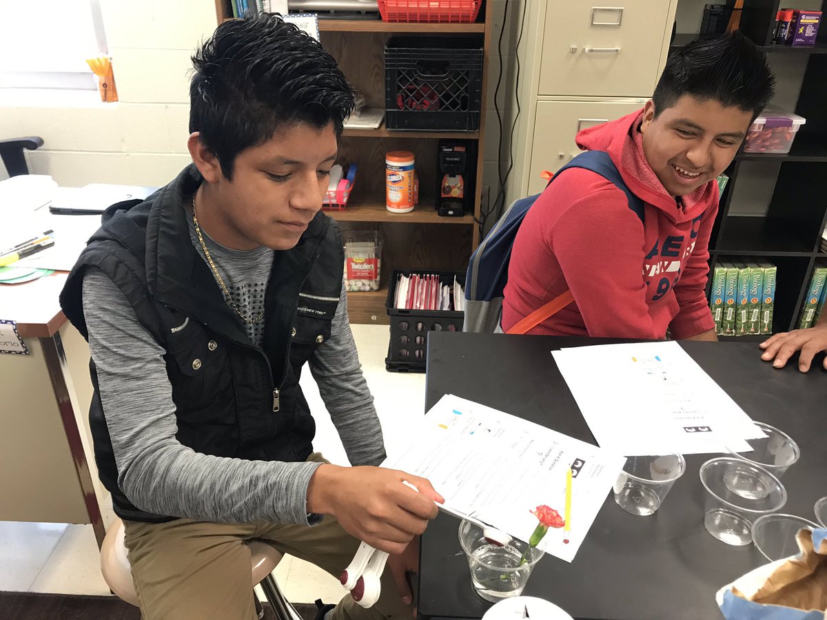 CCSD ESOL tweet media