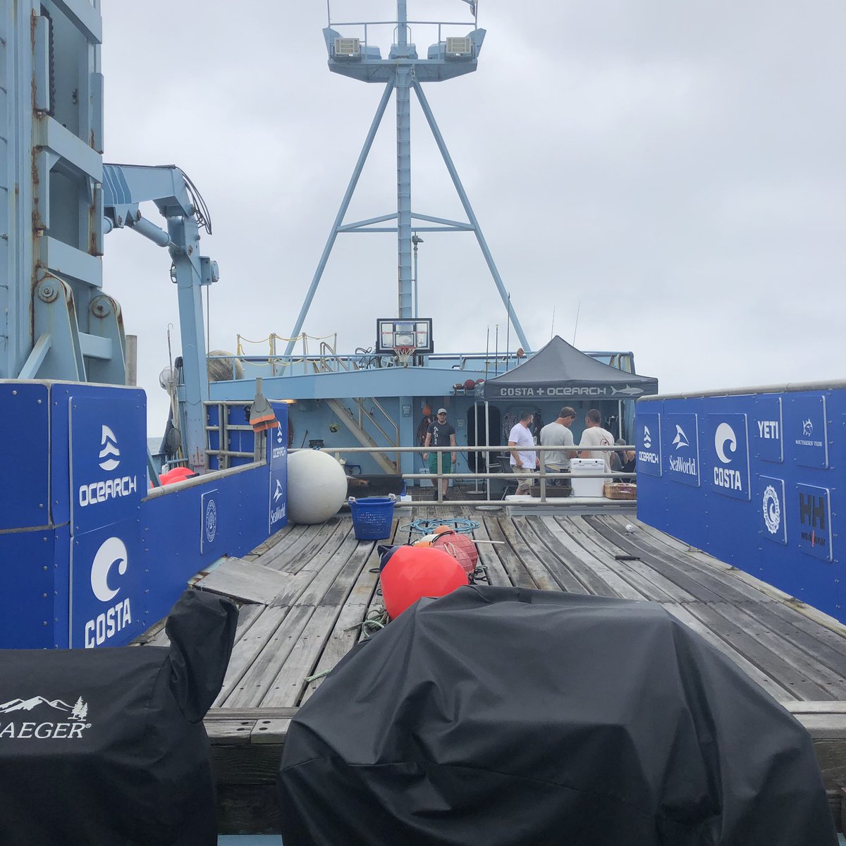 Greg_R_Rogers's tweet photo. Love being on the @OCEARCH ship and learning more about the important #shark research they do during #expeditionnantucket https://t.co/KM9PcQ8kOh