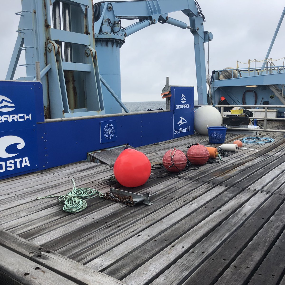 Greg_R_Rogers's tweet photo. Love being on the @OCEARCH ship and learning more about the important #shark research they do during #expeditionnantucket https://t.co/KM9PcQ8kOh