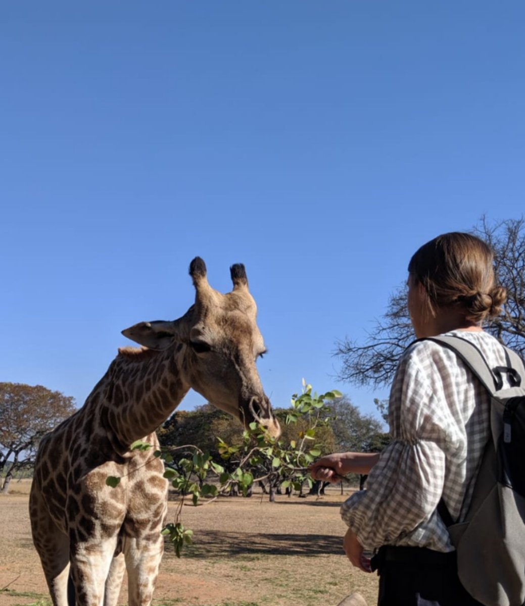 C_H0885's tweet photo. Missing this guy! 🇿🇼😍 https://t.co/91ilqKuozt