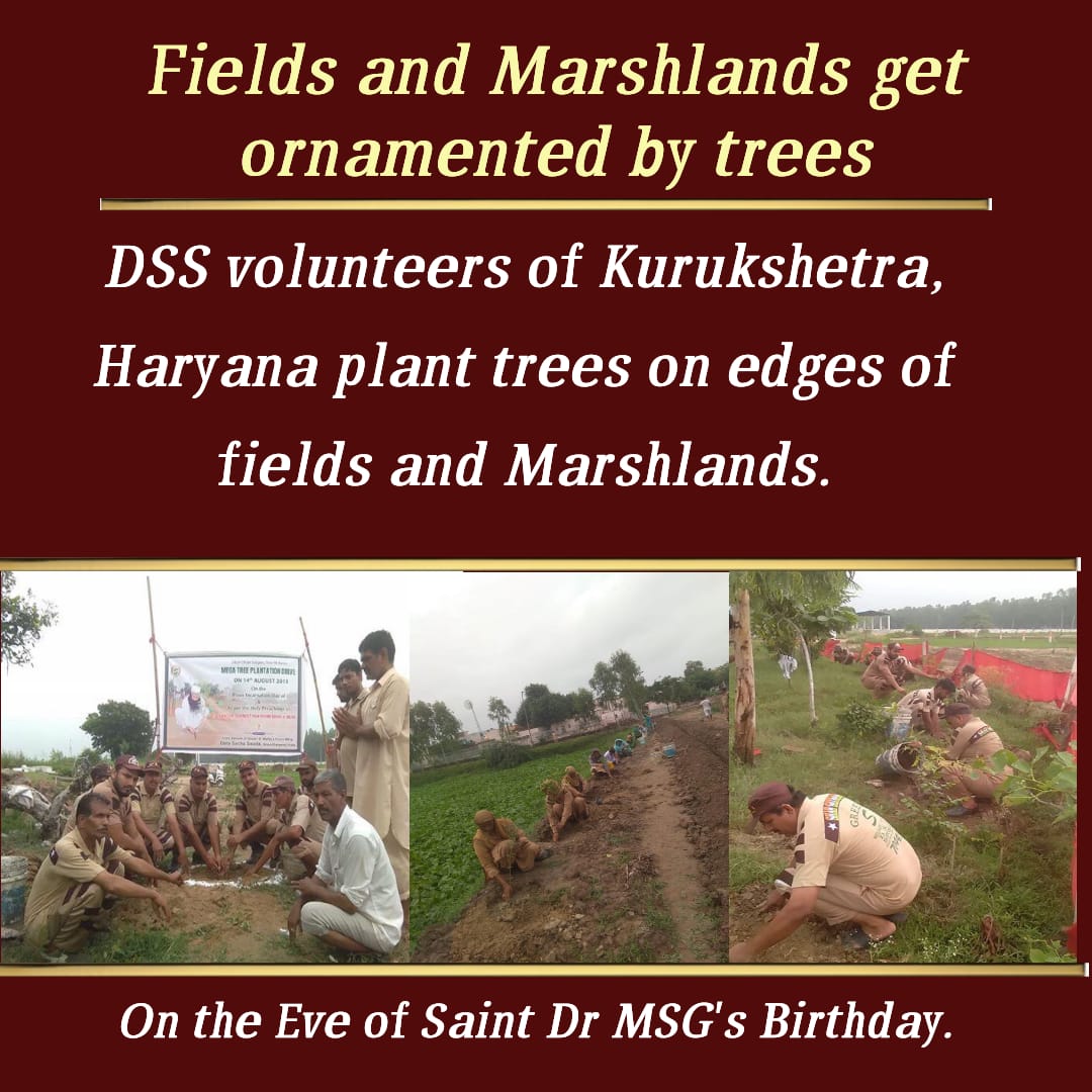 GirlAdolz's tweet photo. #TreePlantationWorldwide On the birthday of Saint Ram Rahim ji mega tree plantation  drives organized by @derasachasauda Volunteers https://t.co/Ah7cmsoxeA
