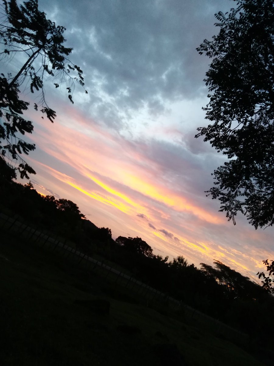 jaramillo_68's tweet photo. @marifergarzav Amo los atardeceres😍😍👌🏼 https://t.co/WcrUM3PimN
