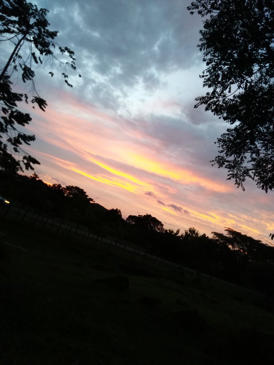 jaramillo_68's tweet photo. @marifergarzav Amo los atardeceres😍😍👌🏼 https://t.co/WcrUM3PimN