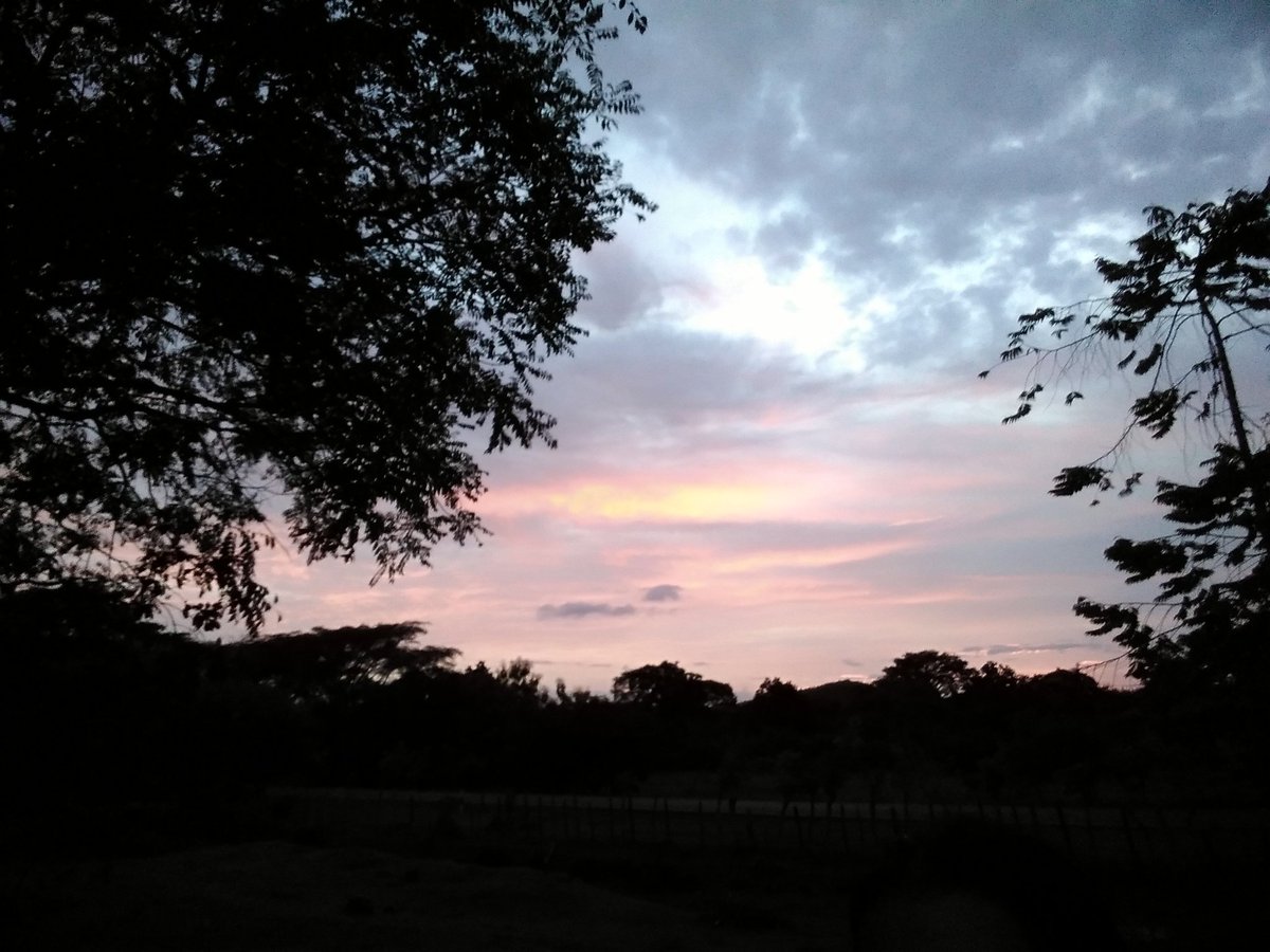 jaramillo_68's tweet photo. @marifergarzav Amo los atardeceres😍😍👌🏼 https://t.co/WcrUM3PimN