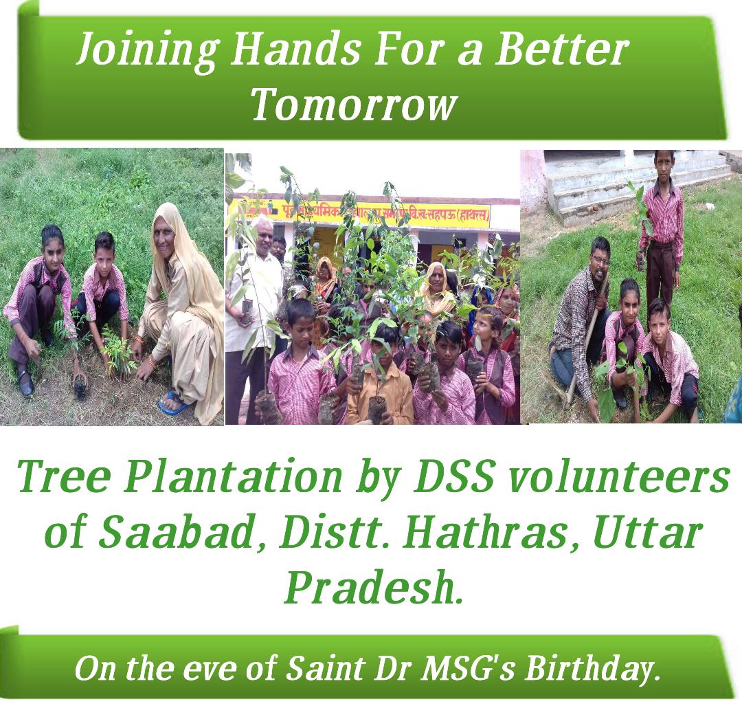 GirlAdolz's tweet photo. More than 41 million trees have been planted by @derasachasauda Volunteers on the birthday of Saint Gurmeet Ram Rahim ji #TreePlantationWorldwide https://t.co/RwjUXM9jri