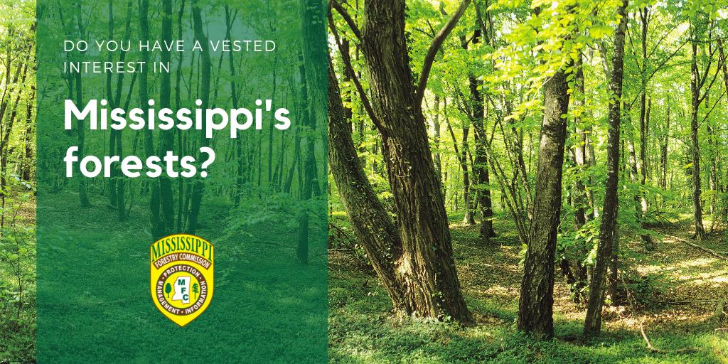 online Ritual: Perspectives and Dimensions