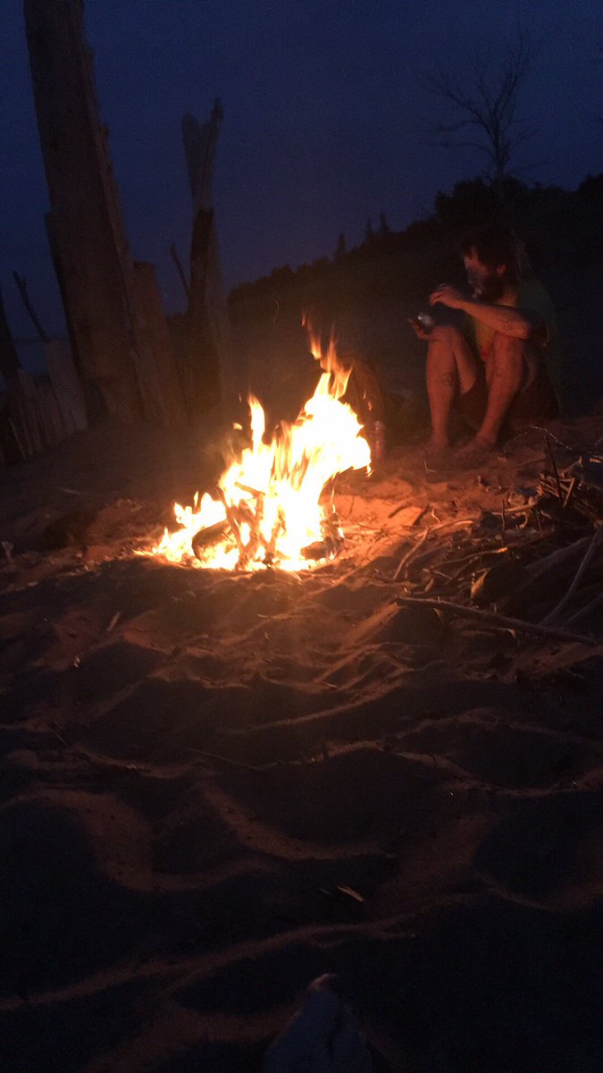 Moon Dogs tweet media