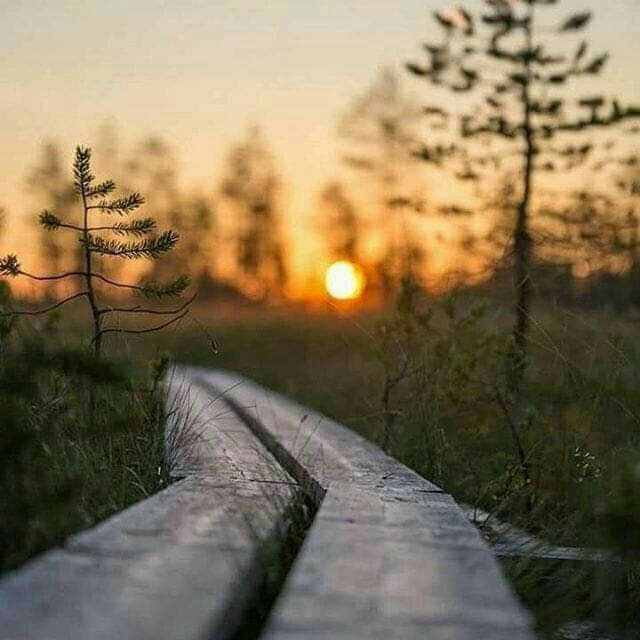 Tamimii12's tweet photo. وخاتمة العيد دعائي لكم..
تباركت أعيادكم بقبول الأعمال،والبركة في الاعمار وزاد في حسناتكم، ورفع قدركم ومقامكم وتقبل الله ما قدمتم من عمل، وحقق ما رجيتم من أمل، وجعل الله أعيادكم فرحاً بأعمال قبلت وذنوب محيت ودرجات رفعت..
*طبتم وطابت أيامكم
#يازين_ذكر_الله
#اغرد_لله
#داعم_للخير https://t.co/7p10bF3CAI
